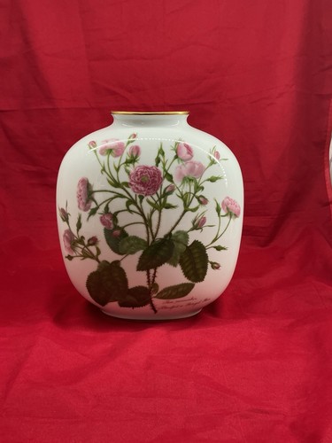 Vaso porcellana lenticolare - vaso,