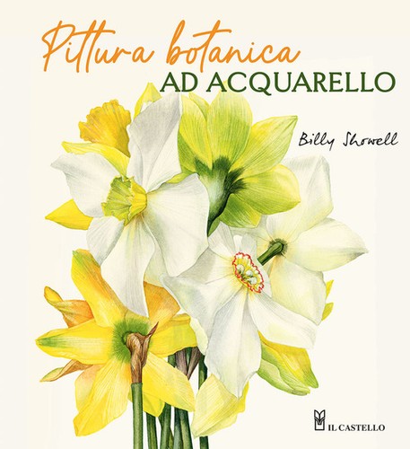 Libri marianna sala - -, pittura