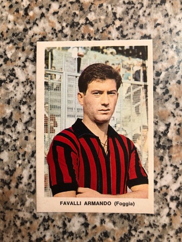 Favalli foggia calcio - favalli,