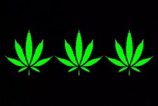 MARIJUANA POT LEAF lotto all'ingrosso 3 adesivi decalcomanie vinile paraurti finestra 3,5"