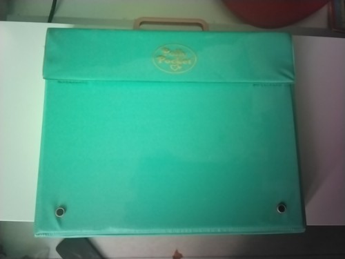Bluebird polly pocket writing - pocket,