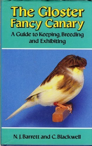 The gloster fancy - the, canary: