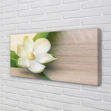 Quadro Tulup stampa su tela