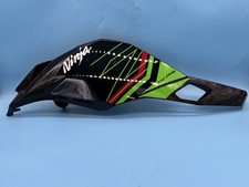 Kawasaki ZX-4RR pannello