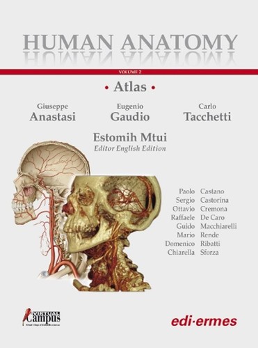 Human anatomy multimedial - human,
