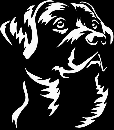 Adesivo labrador - labrador,