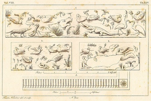 Antica stampa 1800 - , (1832)