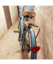Olmo bici donna - olmo,