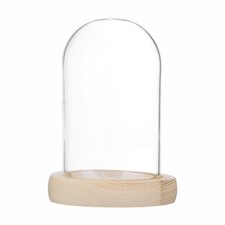 Bell Shaped Glass Bell