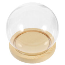 Vetrina per Collezionismo Base in Legno Espositore Vetro Copertura Piccola Cloche Cupola