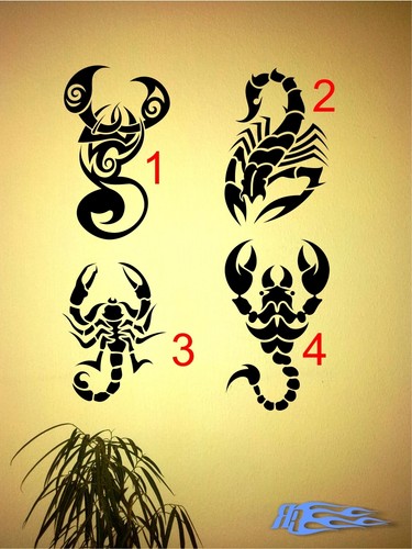 Wandtattoo scorpion - st,