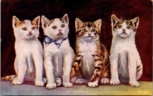 Four kittens rifton - four,