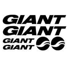 Set decalcomanie telaio bici