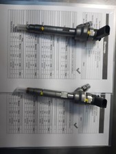 2 Iniettori Common Rail Bosch 0445110289