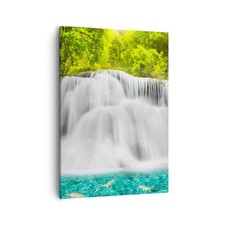 Quadro su Tela 50x70cm Parco