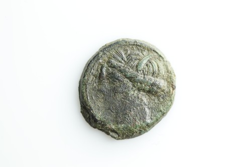 Carthago testifitana - carthago,