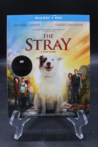 The stray new sealed dvd - new, movie