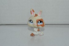 Littlest Pet