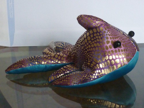 Animale sabbia pesce tropicale - animale,