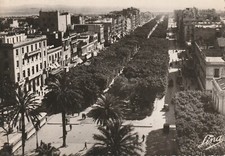 C4 - Cp Cartolina TUNISIA