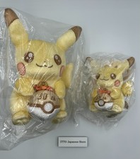 Pokemon Center 30th