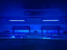 Plafoniera radion g5 blue xr30