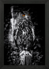 Quadro stampa su tela poster