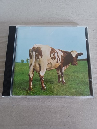Pink floyd titres - pink, 5