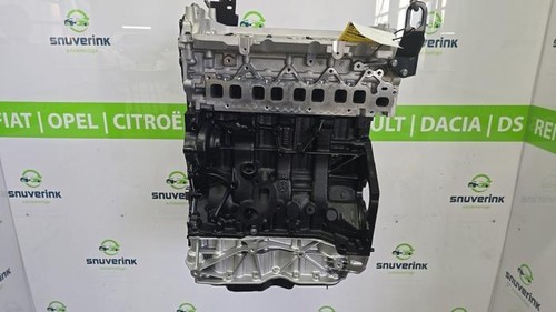 Motore nudo renault - motore, (diesel)