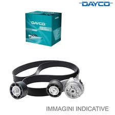 Tenditore ausiliario Dayco APV3814 Componente Motori Marini Fpt Iveco Aifo 8.7