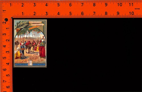 Liebig estratto data