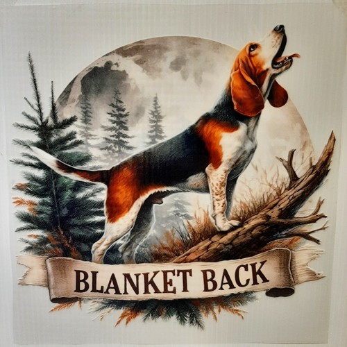 Coperta cane beagle camicia - ,
