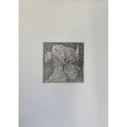 Arturo carmassi acquaforte - carmassi,