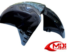 Kawasaki 100% Carbon Fiber