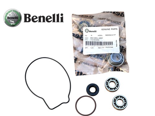Kit revisione pompa acqua - revisione,