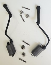 Coppia Bobine Bobina + Staffe Viti Kawasaki ER-5 2001 2002 2003 2004 2005 2006