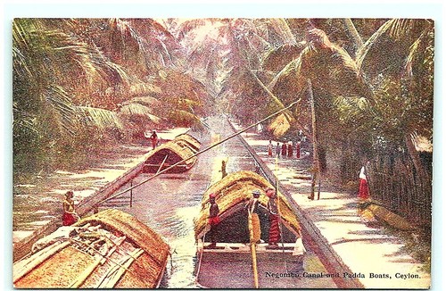 S01 8674 negombo canale e - s01-8674,,