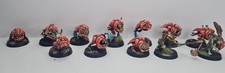 Warhammer Age of Sigma Squid