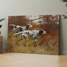 Quadro inglese Setter cani da