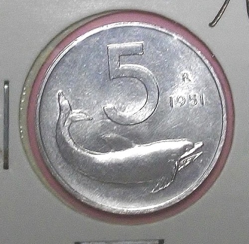 Lire delfino 1951 - 5,