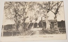 CARTOLINA FRASCATI (ROMA) -