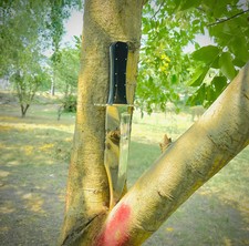 Coltello Musso Bowie fatto a