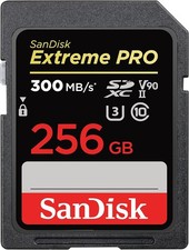 SanDisk Extreme PRO 256GB