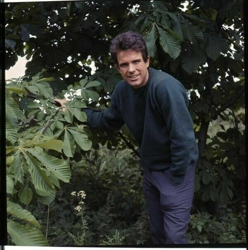 Warren beatty raro servizio - warren,