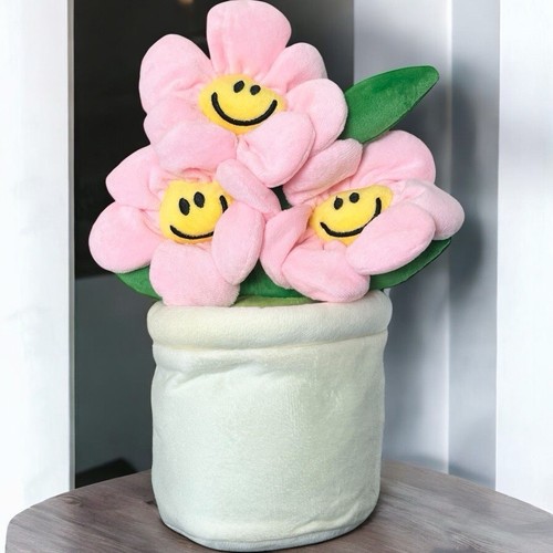 Fiori sorridenti pianta - sorridenti,