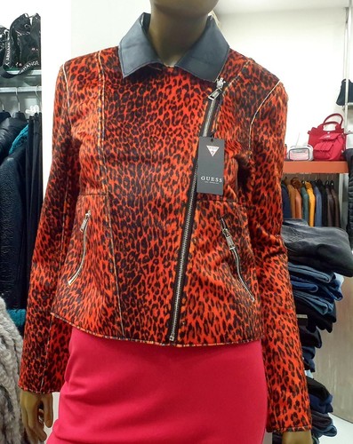 Giubbino guess s - giubbino,