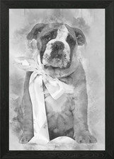 Bulldog inglese cucciolo 2 un