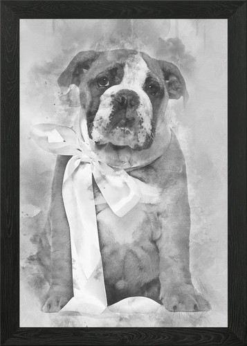 English bulldog puppy an - puppy, 2