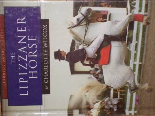 The lipizzaner horse learning - horse, (learning