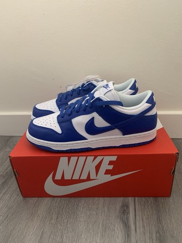 Nike dunk low retro - dunk, sp
